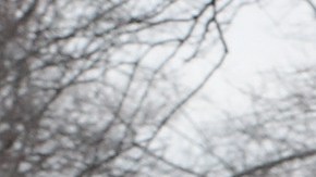 Hay inundaciones en Indiana, Illinois, Michigan, Wisconsin y otros estados del medio oeste.