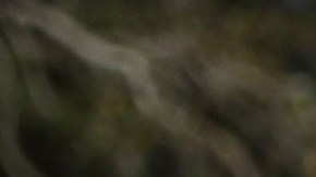 Debby Stout (i), cuya hija estaba en Marjory Stoneman Douglas High School cuando 17 personas fueron asesinadas, es abrazada por Lori Feldman durante una protesta contra las armas.