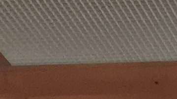 El repostero Huascar Aquino, en el centro, con el concejal Robert Cornegy y el comisionado del SBS, Gregg Bishop./A. B. N.