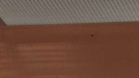 El repostero Huascar Aquino, en el centro, con el concejal Robert Cornegy y el comisionado del SBS, Gregg Bishop./A. B. N.