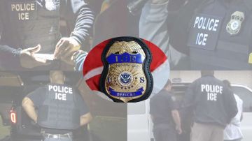 Oficiales de ICE detuvieron al menor en su residencia en Long Island.