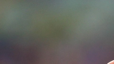 Neymar es uno de los 15 jugadores confirmados que estarán en el Mundial de Rusia 2018