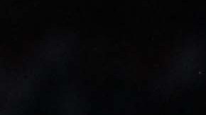 Los Pumas de la UNAM reciben a Tiburones Rojos, en duelo de la fecha 7 de la Liga MX