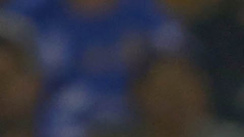El campeón Tigres recibe a las Águilas del América en el "Volcán", en duelo de la fecha 6
