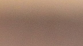 papaya slice on wood