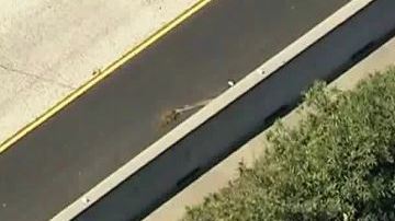 Las autoridades encontraron el cuerpo del sospechoso más de dos horas después de que huyó.