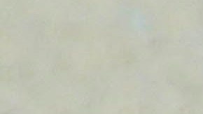 Julieta Venegas en compañía de su esposo, Pablo Braun.