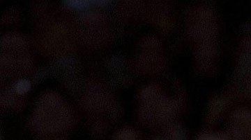 Kobe Bryant y Pau Gasol