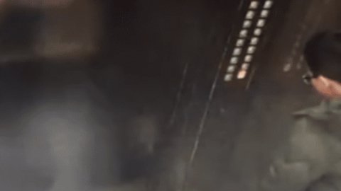 La travesura pudo provocar una tragedia mayor.
