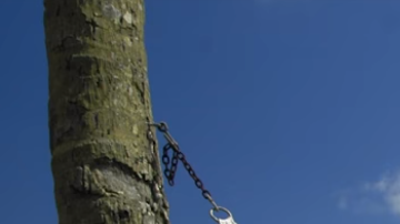 Niurka Marcos llegó a YouTube como "Mamá Niu".