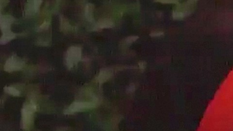 Omarosa entró a la casa de Big Brother y ya hizo sus primeras declaraciones sobre su estadía en la Casa Blanca