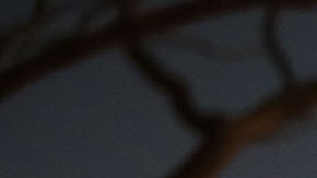 Dolientes reunidos en el servicio conmemorativo para las víctimas del tiroteo en Parkland