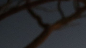 Dolientes reunidos en el servicio conmemorativo para las víctimas del tiroteo en Parkland