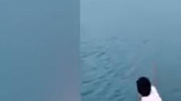 El sujeto avienta al cachorro al lago.