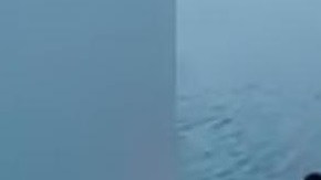 El sujeto avienta al cachorro al lago.