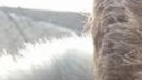 Una adolescente fue obligada a cortarse el pelo por parte de su padre y su madrastra.