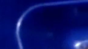 La policía federal de Mexico encuentra a este cachorro de tigre en un paquete postal.