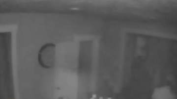 Las cámaras de video vigilancia capturaron a los ladrones entrando en el domicilio mientras la familia estaba durmiendo.