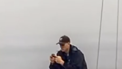 Un hombre está observando su teléfono con tanta atención que se pierde el espectáculo de ballenas alrededor del barco.