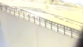 Un búho mira a cámara directamente, obstruyendo las grabaciones de la agencia de transportes de Finlandia.