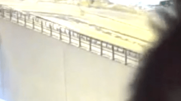 Un búho mira a cámara directamente, obstruyendo las grabaciones de la agencia de transportes de Finlandia.
