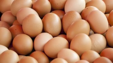 El equipo olímpico de Noruega recibió 15 mil huevos por error