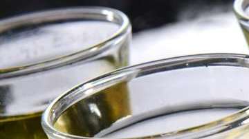 Aunque el caballito se usa comúnmente para beber tequila, no es el método más recomendado para consumirlo.