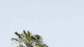 03/12/18/LOS ANGELES/ South Los Angeles resident Suyapa Maldonado with her husband Victor Maldonado. (Photo by Aurelia Ventura/La Opinion)