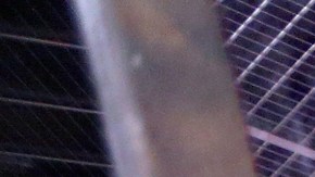 03/21/18 / LOS ANGELES /Nasarex Villalobos, from Belmont H.S. was among 100 high school students who had a chance to step into a Òpop-upÓ boutique and choose their ideal prom dress Ð with jewelry, handbags, and shoes to match Ð at no cost. Operation School Bell Prom Day, an event that provides prom dresses, shoes, accessories, make-up and hair styling to nearly 100 low-income L.A. Unified high school girls. (Photo Aurelia Ventura/La Opinion)