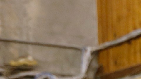 La organización ayuda a hombres y mujeres a enderezar el camino. / Foto: Aurelia Ventura.