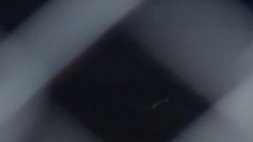 ICE ha liberado cerca de 14,500 familias inmigrantes desde el 21 de diciembre de 2018