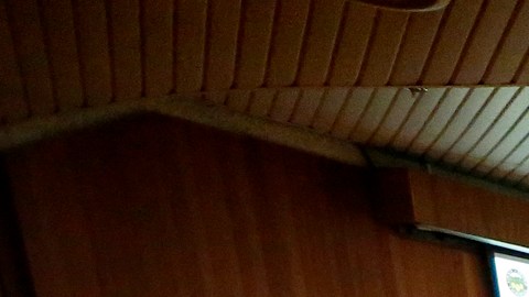 Supervisores del condado de Orange votan a favor de la oficina de inmigrantes y refugiados (Photo Aurelia Ventura/La Opinion)