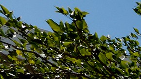 Santa Ana, CA. (Archive)