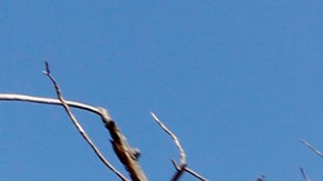 03/26/18 / SANTA ANA / Hundreds rally outside the Orange County supervisors to denounce a three-city homeless shelter plan. Orange County supervisors on Tuesday rescinded their recent plan that could have created emergency homeless shelters in Irvine, Huntington Beach and Laguna Niguel to house up to 400 people. (Photo Aurelia Ventura/La Opinion)