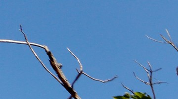 03/26/18 / SANTA ANA / Hundreds rally outside the Orange County supervisors to denounce a three-city homeless shelter plan. Orange County supervisors on Tuesday rescinded their recent plan that could have created emergency homeless shelters in Irvine, Huntington Beach and Laguna Niguel to house up to 400 people. (Photo Aurelia Ventura/La Opinion)