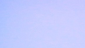 El candidato de la coalición Por México al Frente Ricardo Anaya. EFE