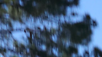 Carca de 14,000 menores de edad están detenidos en centros de ICE