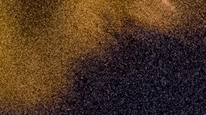 "Jungle Jabbah" de 51 años vivía en East Lansdowne, Pennsylvania