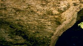 Xcaret, un atractivo en la Península de Yucatán.