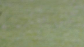 El delantero de la selección argentina, Lionel Messi, se entrena en la Ciudad Deportiva de Valdebebas de Madrid. (Foto: EFE/Víctor Lerena)