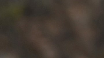 La miniserie de Brasil fue protagonizada por Cauã Reymond e Isis Valverde