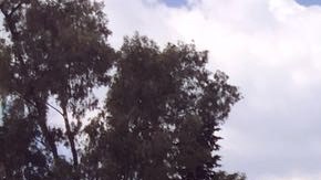 Fue presentado el nuevo autobús oficial de la selección mexicana