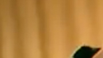 Bad Bunny en el video musical de "Dime"