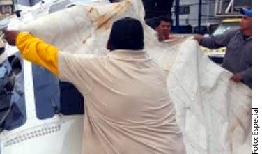 La aeronave realizaba un aterrizaje forzoso.