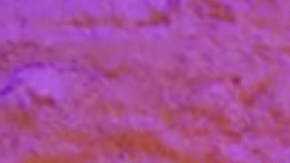 La cantante Camila Cabello lanzó su nuevo video musical para "Never Be The Same"