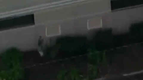 La camioneta negra que los golpeó se vio por primera vez acelerando a toda velocidad por Downey Avenue
