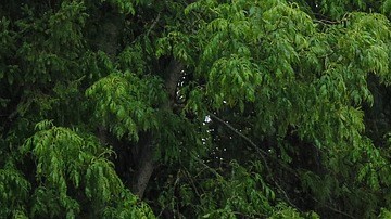 Solicitamos discreción.