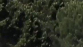 La "Casa de Picapiedra" (que no fue diseñada con ese sentido) puede verse desde la Interstate 280