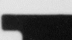 La Unión de Campesinos (UFW) fue fundada por César Chávez y Dolores Huerta en los años 60.