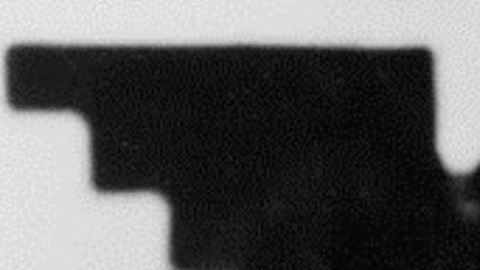 La Unión de Campesinos (UFW) fue fundada por César Chávez y Dolores Huerta en los años 60.